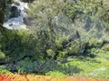 大雪山旭岳ロープウェイの写真_522443