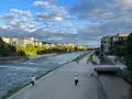 鴨川の写真_522645