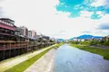 鴨川の写真_522837
