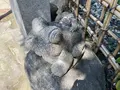 法案寺の写真_522923