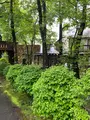 レストラン ペニーレイン（RESTAURANT PENNY LANE）那須店の写真_523273