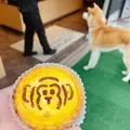 湯あがりかりんとの写真_523349