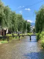白川一本橋（行者橋）の写真_523399