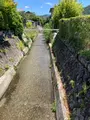 白川疏水通りの写真_523407