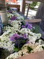 上賀茂神社（賀茂別雷神社）の写真_523434
