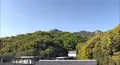 天然温泉くらはし桂浜温泉館 の写真_523553