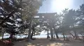 桂濱神社の写真_523650