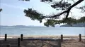 桂浜の写真_523658