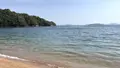 桂浜の写真_523659