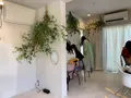 シモキタシマイの写真_523842