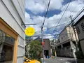 シモキタシマイの写真_523848