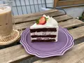 シモキタシマイの写真_523851