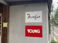 YOUNG（ヤング）の写真_523894