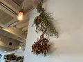 202カリー堂の写真_523905
