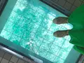 渦の道の写真_524541