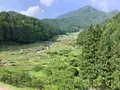 四谷千枚田の写真_524712