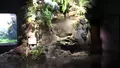 DMMかりゆし水族館の写真_525375