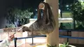 DMMかりゆし水族館の写真_525379