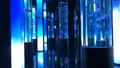 DMMかりゆし水族館の写真_525390