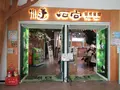 台北市立動物園大猫熊館の写真_525586