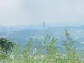 指南宮月老平台與綠能涼亭の写真_525592
