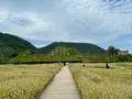 ラコリーナ近江八幡の写真_526070