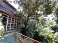 舟廊下の写真_526155
