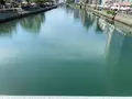 両国橋の写真_526648