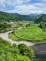 あらぎ島展望所の写真_526666