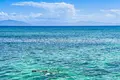 グリーン島の写真_527140
