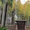 洗足池公園の写真_527408
