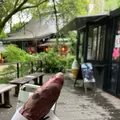 等々力渓谷の写真_527416