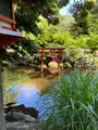 平塚八幡宮の写真_527512