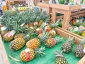 JAファーマーズマーケットやえやま ゆらてぃく市場の写真_527860
