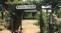 RSKバラ園の写真_528128