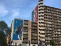 13区の写真_528212