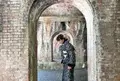 水路閣の写真_528489