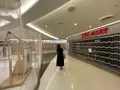 成田国際空港の写真_530728