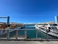 ユーグレナ石垣港離島ターミナルの写真_530741