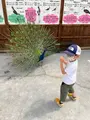 掛川花鳥園の写真_531103