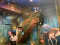 那須とりっくあーとぴあの写真_531342