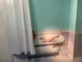 那須とりっくあーとぴあの写真_531344