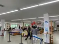 那須ロープウェイの写真_531403