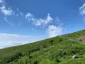 那須ロープウェイの写真_531407