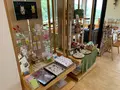 かぜの杜 まど花の写真_531421