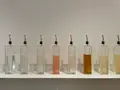 梅体験専門店 蝶矢の写真_531682