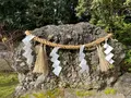 下鴨神社（賀茂御祖神社）の写真_531695