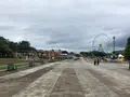 ひたち海浜公園の写真_532077