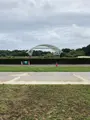 ひたち海浜公園の写真_532078