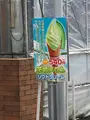 深作農園の写真_532448